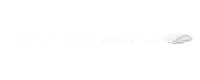 Capgemini
